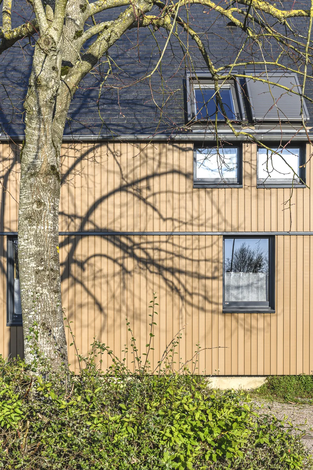 Rénovation énergétique et valorisation des façades